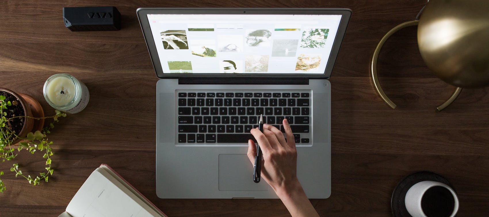 Aria D. Figueiredo-Mori